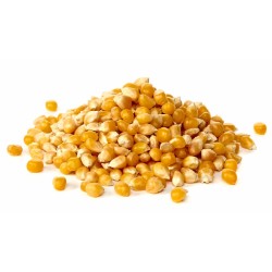 Yellow maize seeds, Application : Making Popcorn, Cattle Feed