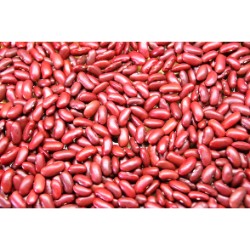 Red Kidney Beans