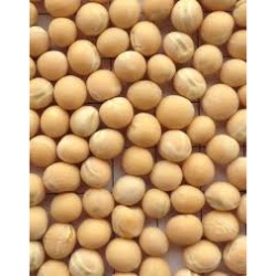 Whole Yellow Peas