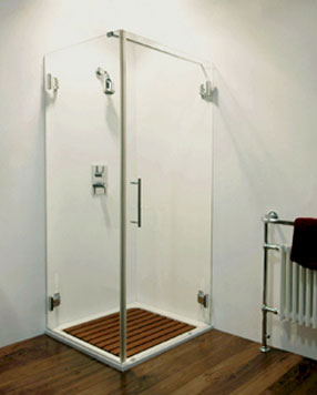Shower Door Enclosure