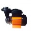 CRI DORA50 Self Priming Monoblock Pump (0.5HP)