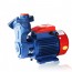 Master Plus II (0.5HP) Crompton Greaves Monoblock Pump Mini Pump