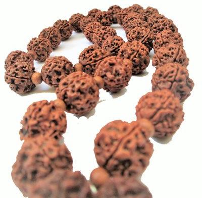 4 Mukhi Rudraksha Mala