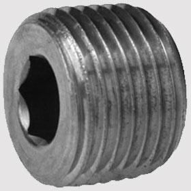 Stainless Steel Socket Pipe Plug