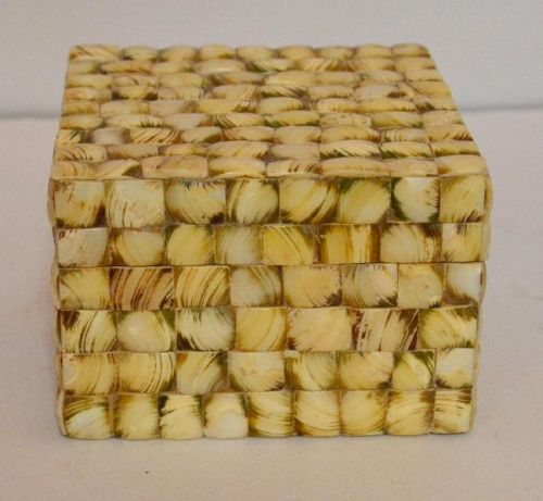 Sea Shell Box