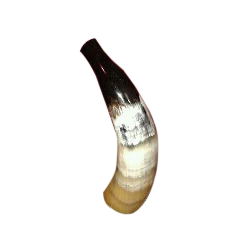 Water Buffalo Horn, For Decorative Purpose, Size : 5, 6 Inches