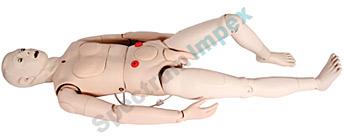 NURSING SIMULATOR Model