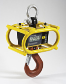 Crane Scales Ron 3025