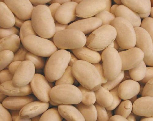 Great Northern Beans