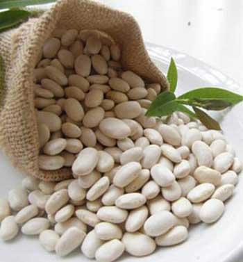White kidney beans, Packaging Type : Bag Or Can