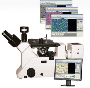 Image Analysis Software