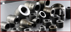 Stainless Steel Forged Fittings