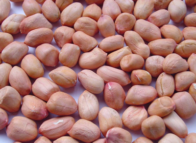 Java peanuts