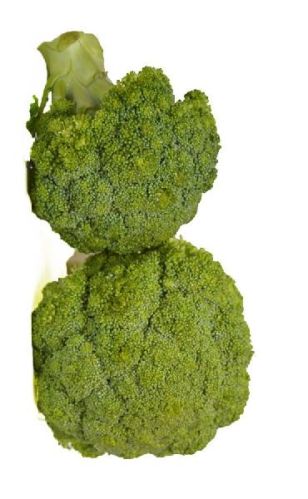 Fresh Broccoli