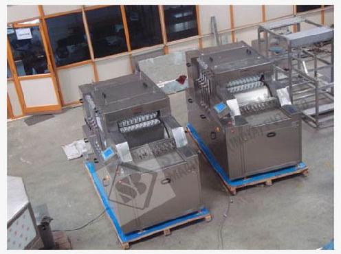 Linear Vial Washing Machine