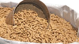 Equine Feed