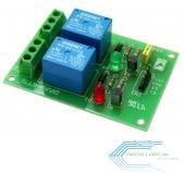 DUAL CHANNEL 12V RELAY BOARD