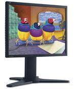 VP2130wb 21 LCD Display