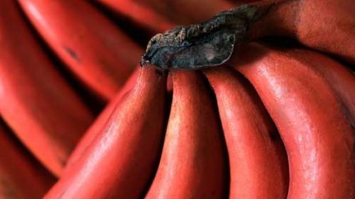 Red Banana