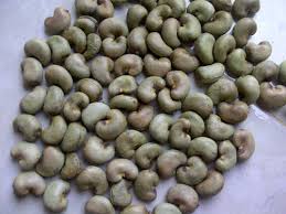 Cashew nuts, Taste : Light Sweet