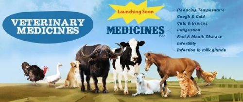 Veterinary Medicines, Dosage Form : Syrup, Tablets, Capsules Etc