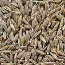 Cumin seed