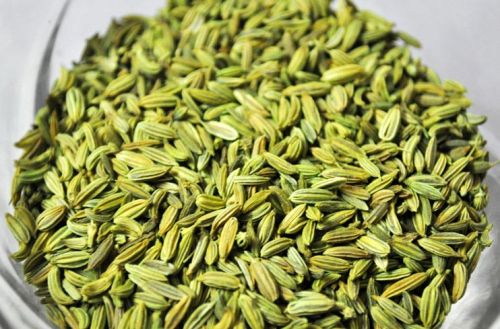 Fennel, For As Spices, Color : Green