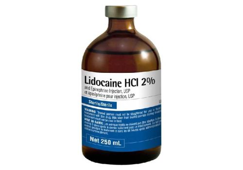 Lidocaine Hydrochloride
