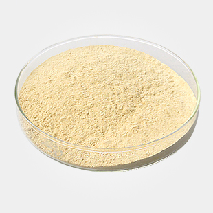 E415 Xanthan Gum, Purity : 99%