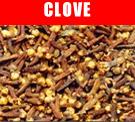 Clove