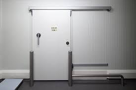 Cold Room Door