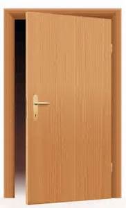 Bwp Flush Door