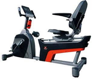 Programmable Recumbent Bike