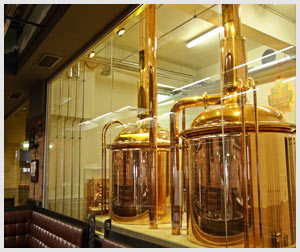 Microbrewery Equipment