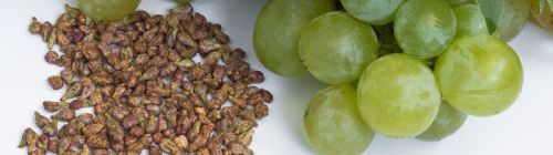 Grape Seed Extract, Packaging Type : Red Brown