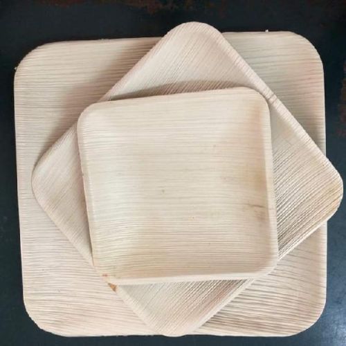 Square Areca Leaf Plates