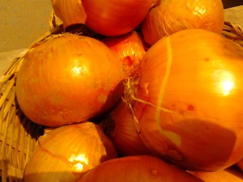 Onions, Freshness : High