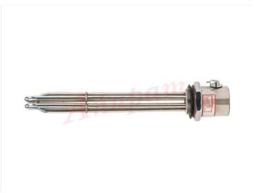 Electric Immersion Heater