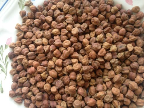 Organic Black Chickpeas, Packaging Size : 25 Kg PP Bag