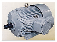 Flameproof and Hazardous Area Motors