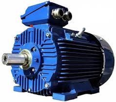 Squirrel Cage Motors