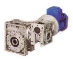 Double Worm Gear Motor