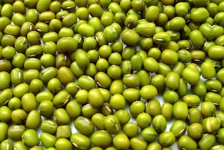 Green Moong Beans, Purity : 99.9% for Cooking, Human Consumption