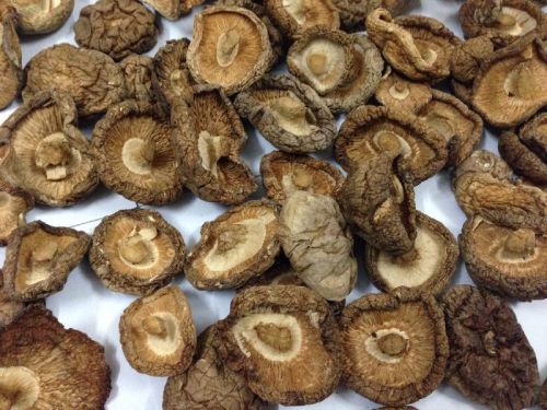 Dried mushroom