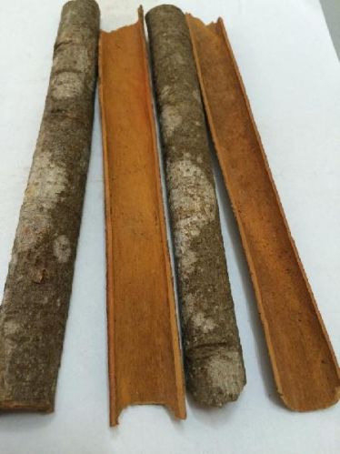 VIET NAM CASSIA CINNAMON