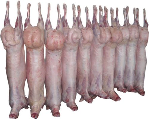 Frozen Whole Lamb