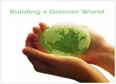 Environmental Consultancy Services