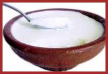 Fresh Dahi