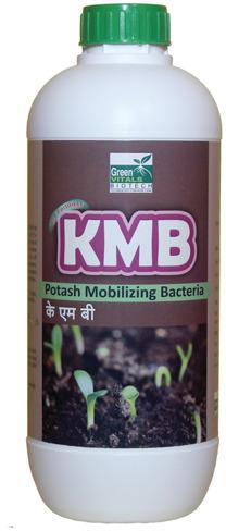 Potash Mobilizing Bacteria