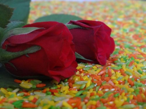 Wedding Akshata Sachets, For Munj, Puja Purpose